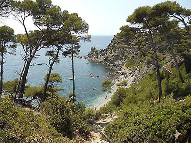 Près De La Six-Fours-les-Plages