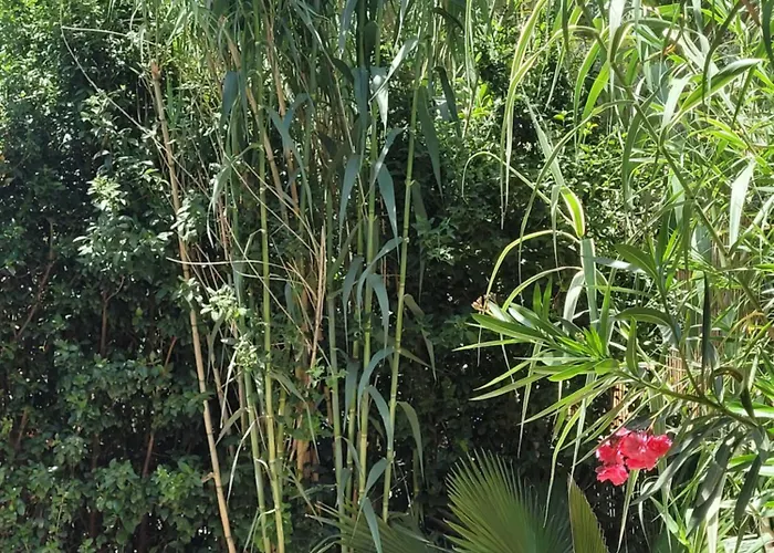 Près De La Villa